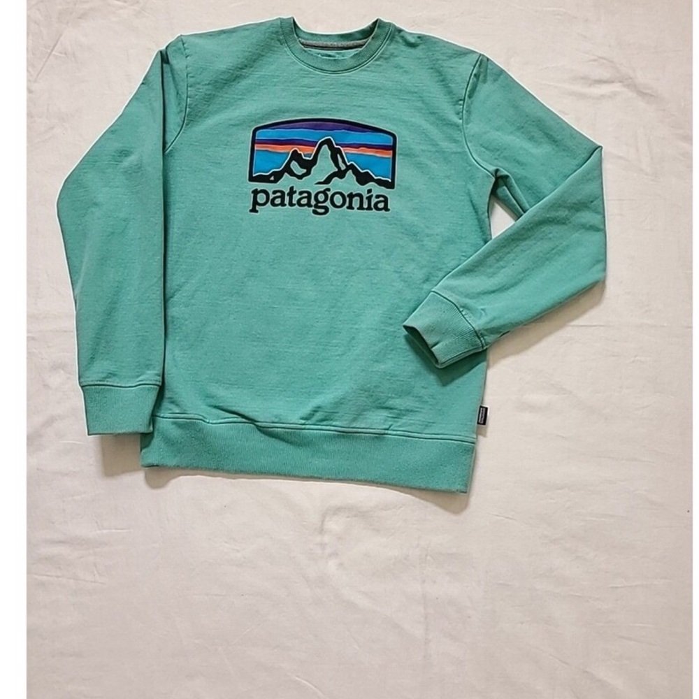 Patagonia Sweatshirt